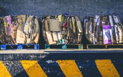 The Impact of Toxic Waste on Our Environment Copy