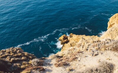 Small water resources and their importance for the environment Copy